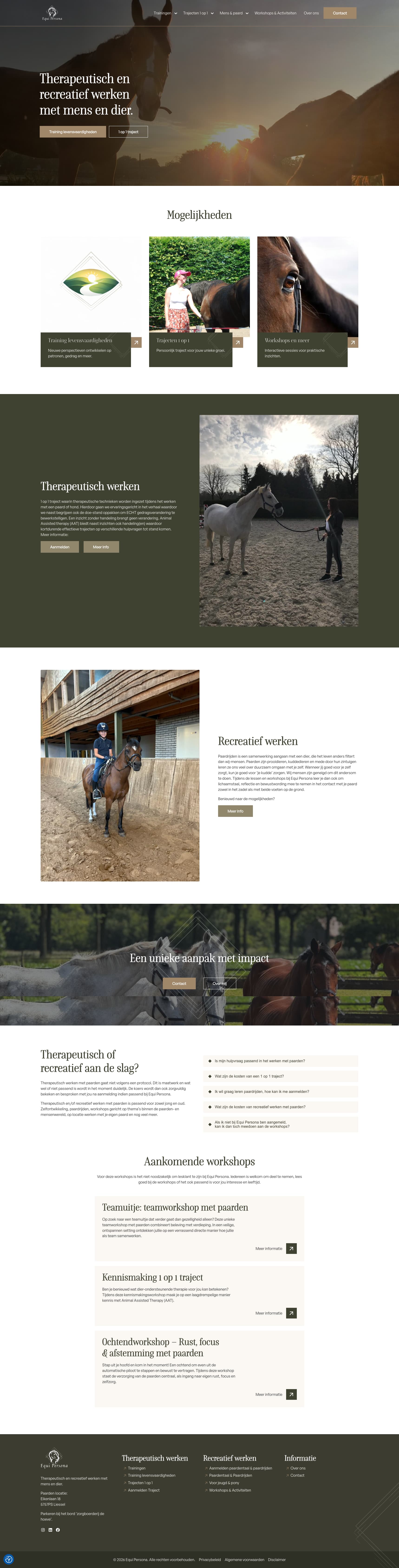 Equi Persona screenshot